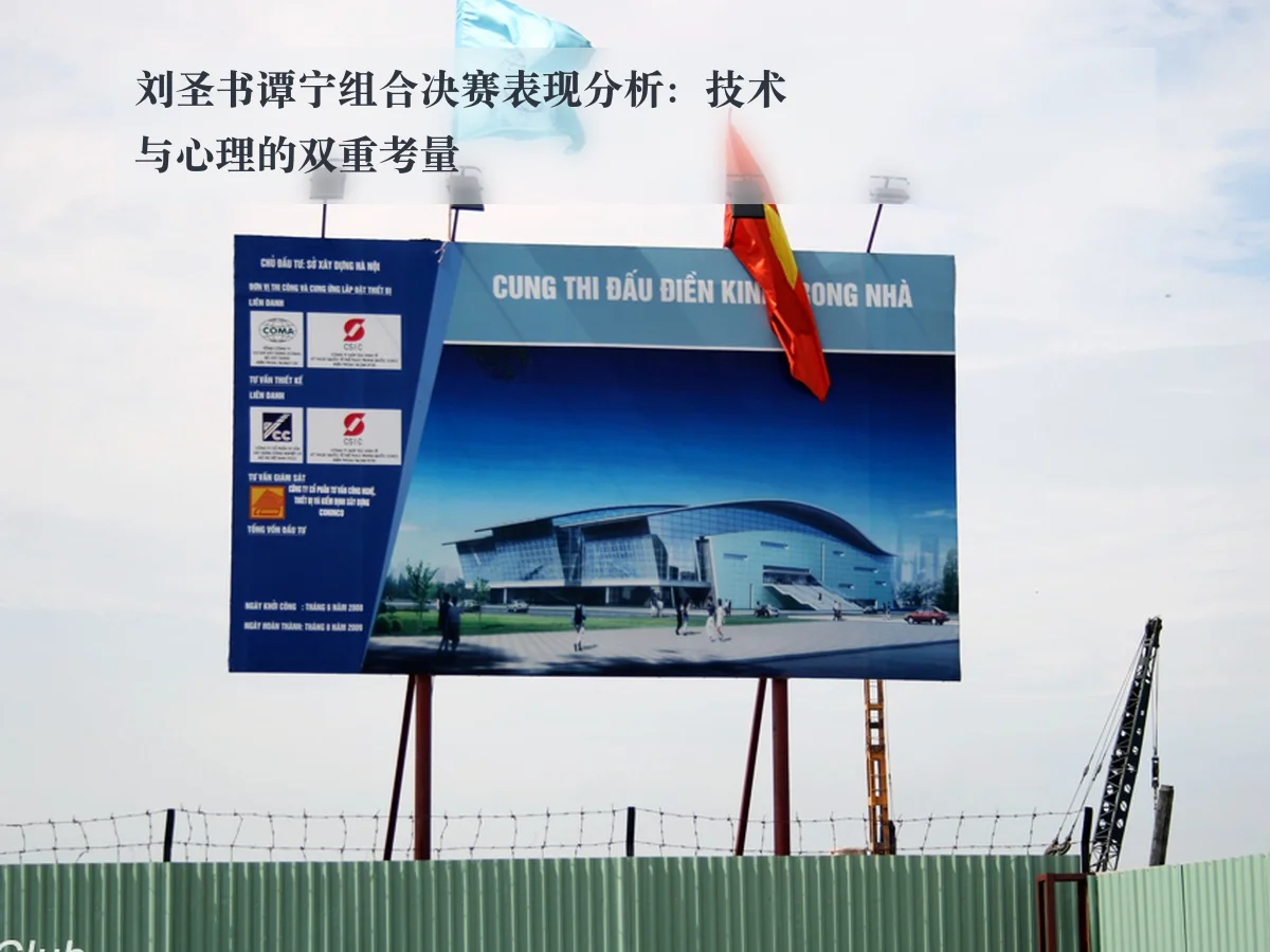 刘圣书谭宁组合决赛表现分析：技术与心理的双重考量